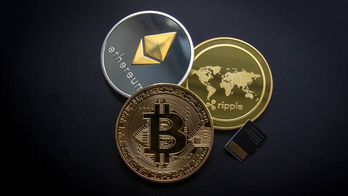 Article