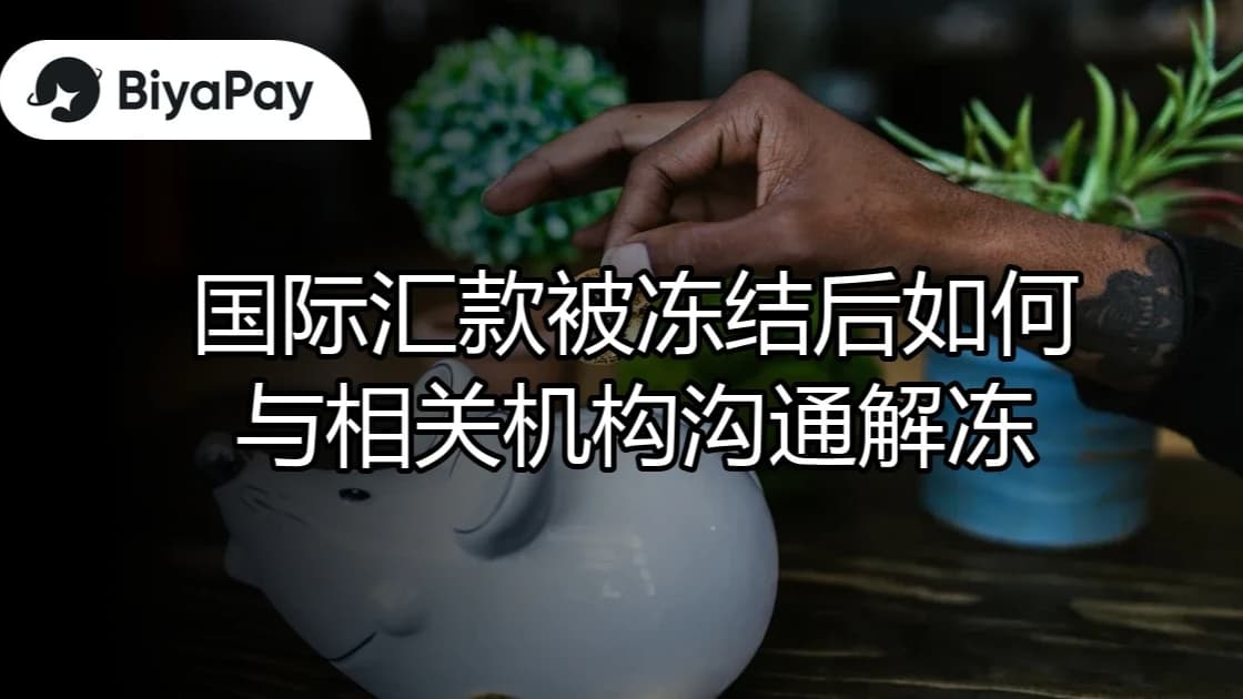 文章