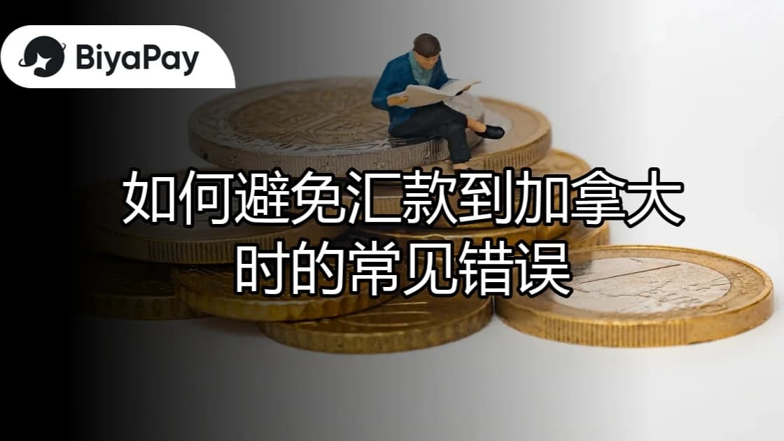 文章
