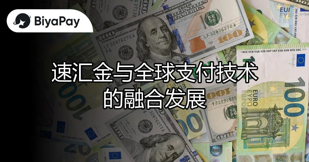 文章