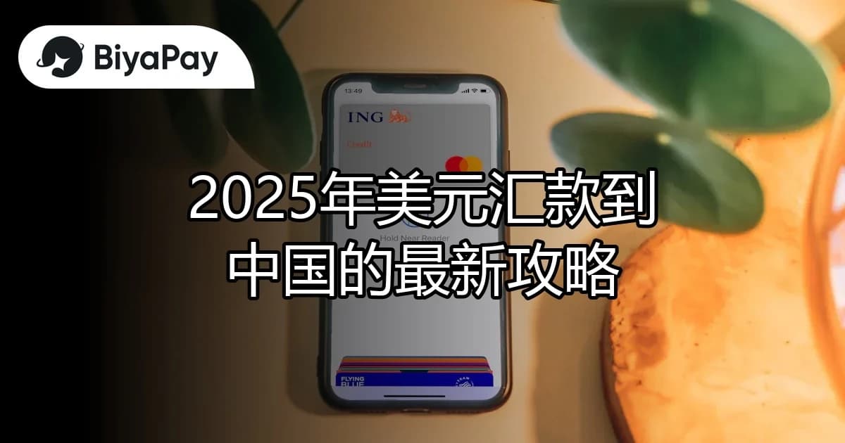 文章