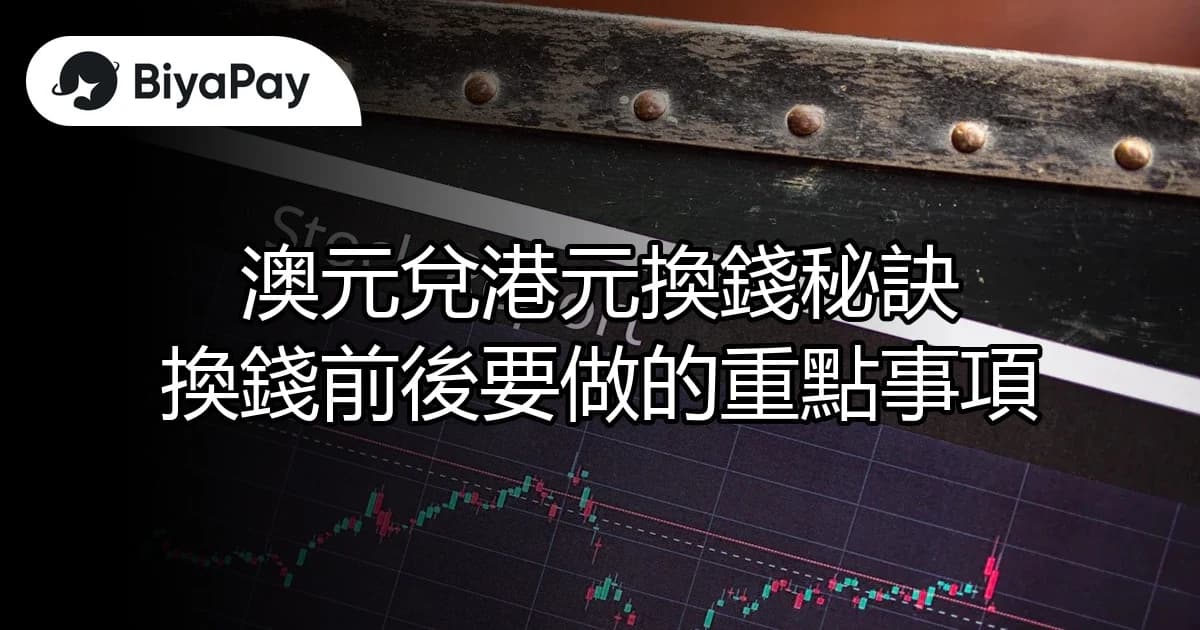 文章