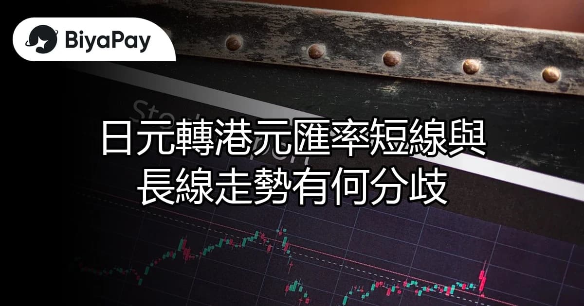 文章