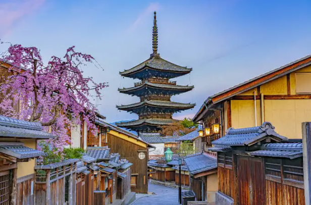 文章